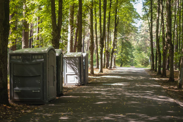 Best Luxury portable toilet rental  in Longbranch, WA